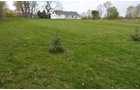 Home View - 1,540 sq. ft. Ranch Style Country Home on Nearly 3 Acres